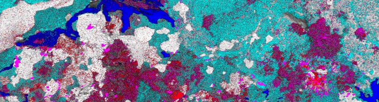 Scanning Electron Microscope