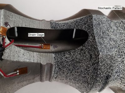 20200825_111141 20200825_111141